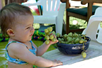 Bunch of grapes